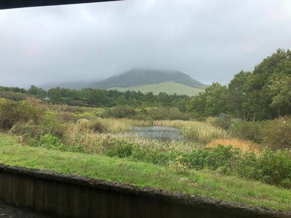 山と草木が織りなす風景