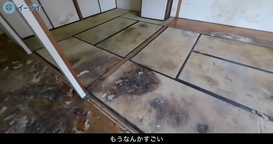 ゴミ屋敷