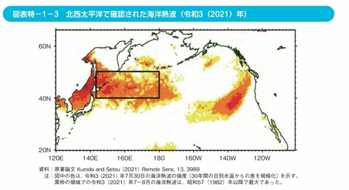 （出所）水産白書