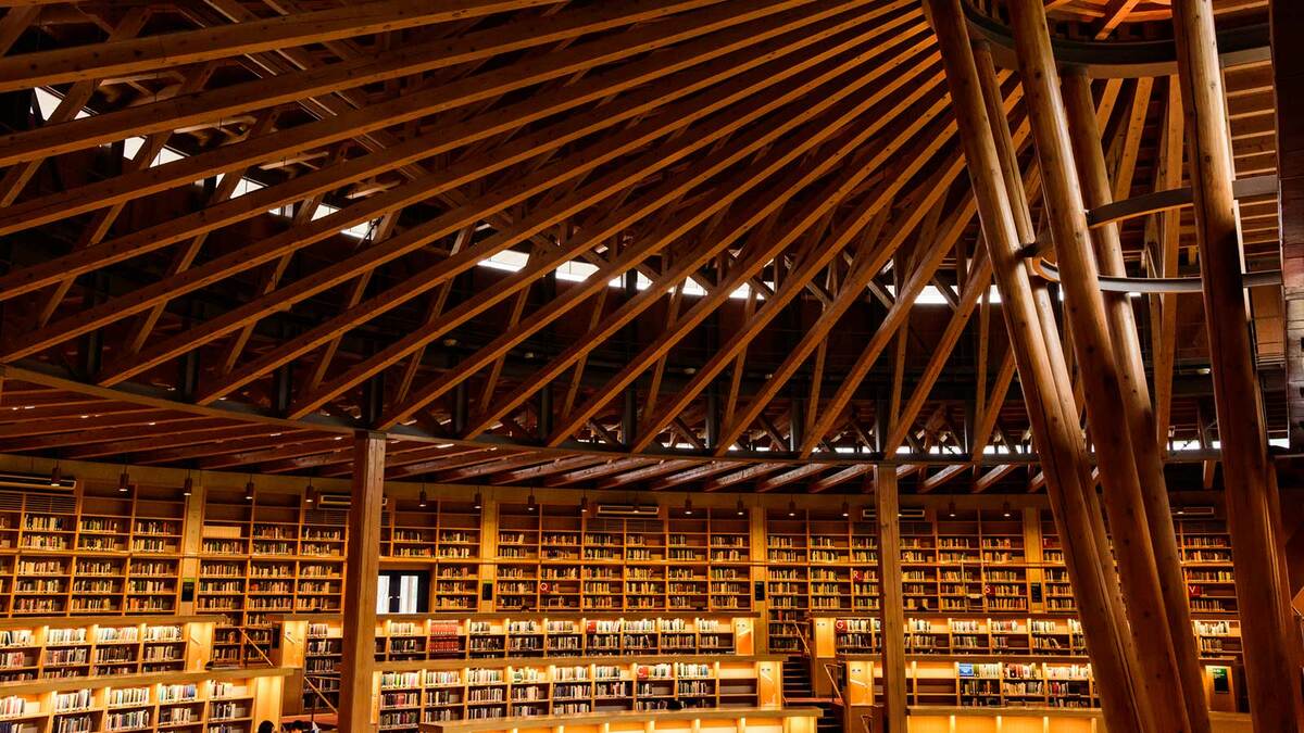 日本ではなぜ人口減でも大学が増え続けたのか 平成30年間に生まれた