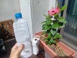 凍らせたペットボトルの検証も行った（著者撮影）