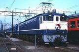 こんな「踊り子」もあった。EF65形1000番台が牽引する客車の「踊り子」（撮影：南正時）