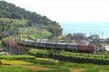 湖西線を走るEF81形牽引の寝台特急「日本海」（撮影：南正時）