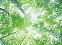 《プロに聞く！人事労務Q＆A》出向が法違反になる場合について教えてください。