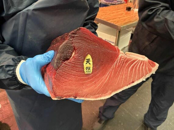 この日店頭に出ていた天然近海もののマグロ