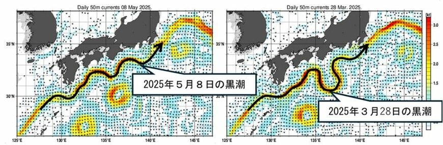 黒潮大蛇行解消（2025年5月）と黒潮大蛇行（同3月） （出所：気象庁）
