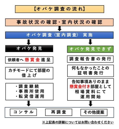 オバケ調査の流れ