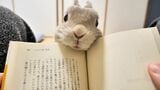 （写真提供：やすさん）