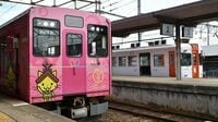 一畑電車､｢新たな中古車両｣を探して東奔西走　 都会の鉄道車両たちが“第2の人生"を送る