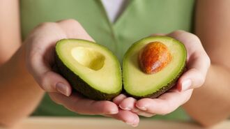 ｢アボカド消費量激増｣裏に潜む意外な技術の正体