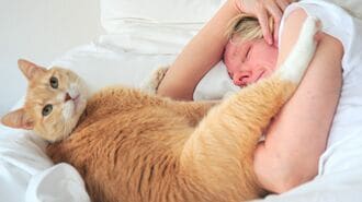 ｢ペットと寝ていい？｣睡眠の質に関する最新研究