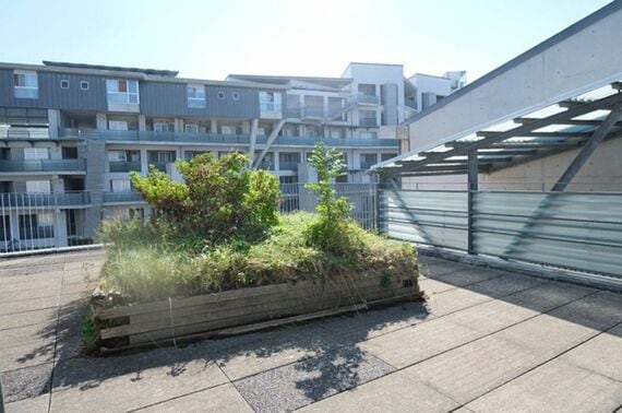 屋上広場の花壇