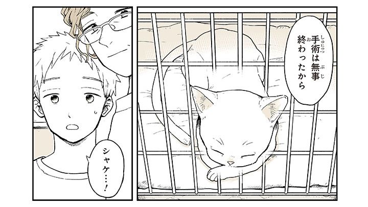 ©稲空穂／実業之日本社