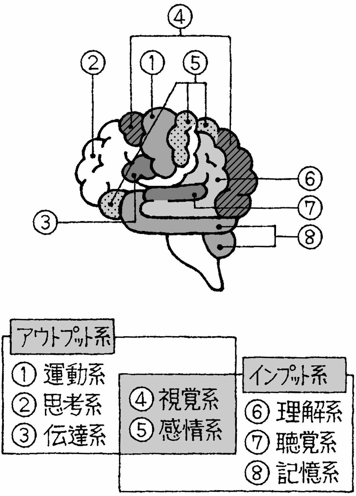 （出所：『1万人を診た脳内科医がすすめる すごい行動力』）