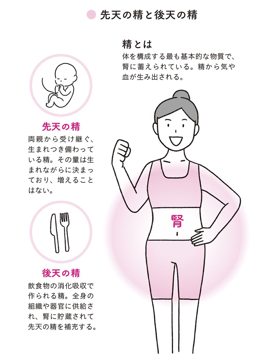 先天の精と後天の精