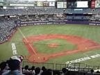 内野自由席上段からの景観