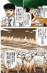 漫画：ドラゴン桜