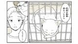 ©稲空穂／実業之日本社
