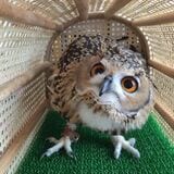 （写真提供：ゲンさん）