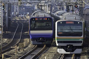 首都圏貫く湘南新宿ライン｢開業20年｣進化の歩み 東海道線や高崎線を 