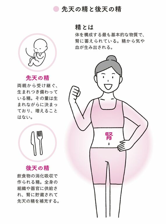 先天の精と後天の精