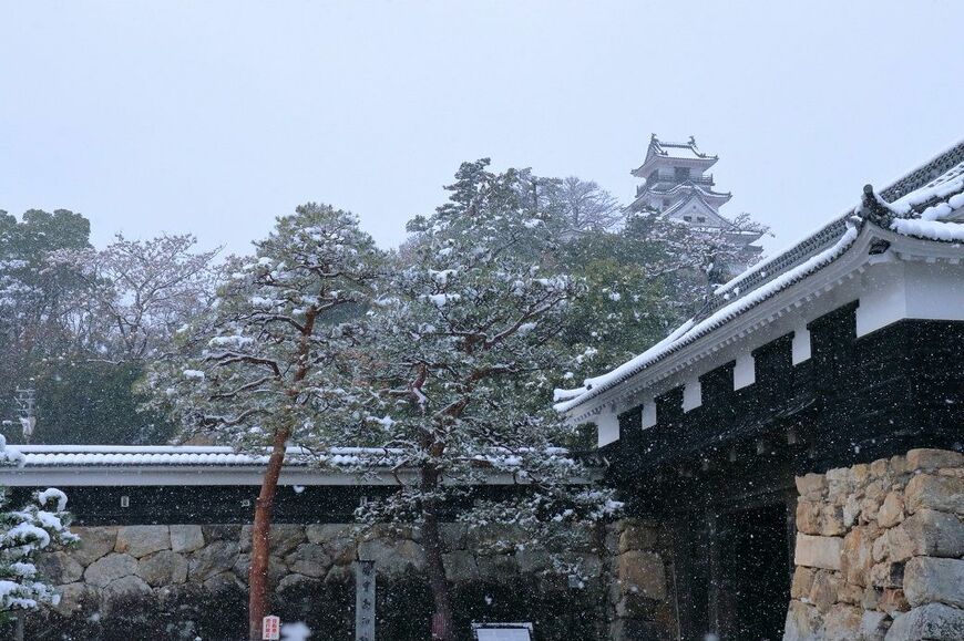 高知城 雪
