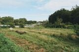 小川町の農地