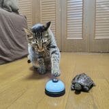 （写真提供：あめちさん）