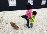 （写真提供：ゲンさん）