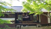 朝ドラ《ブラッサム》13歳で結婚して"わずか10日"で逃げ帰った､宇野千代の｢最初の結婚生活｣と理不尽すぎる父の態度