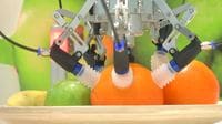 器用！果物を収穫するロボットアームの実力