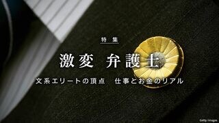 激変　弁護士 文系エリートの頂点　仕事とお金のリアル