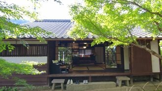 宇野千代　ブラッサム　朝ドラ