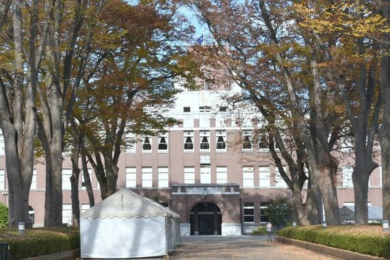 成蹊大学