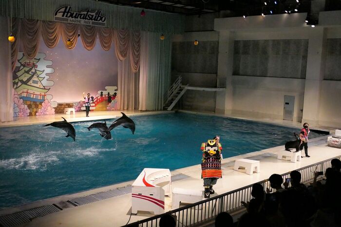 いるか・あしかパフォーマンス