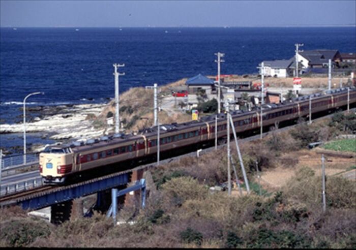 内房線を行く183系「さざなみ」