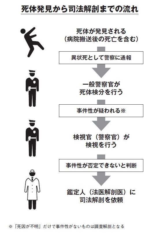 （画像：『法医学教授が教えている 死体の授業』）