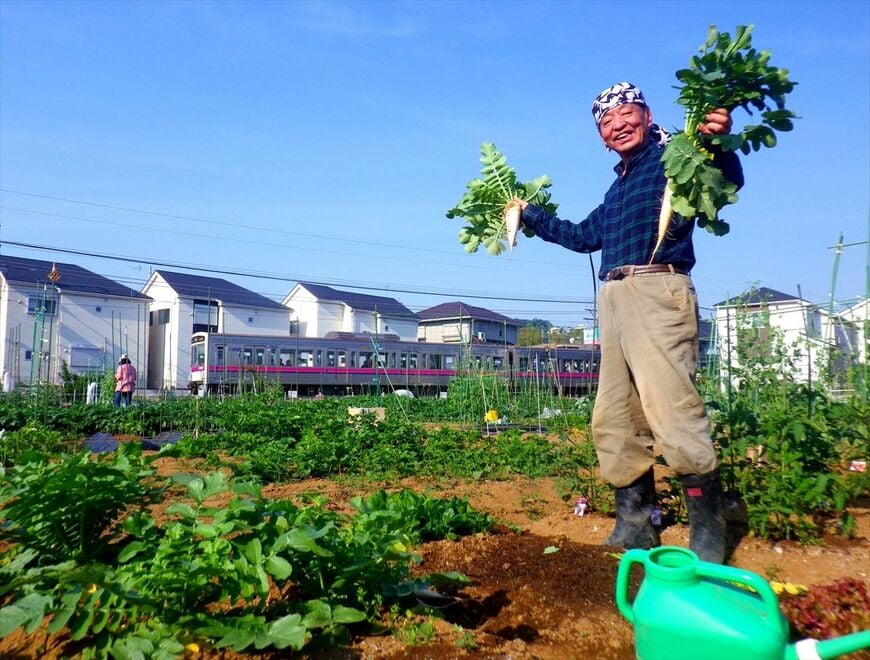 筆者は京王線の線路沿いの市民農園を10年間利用していた（所蔵：南正時）