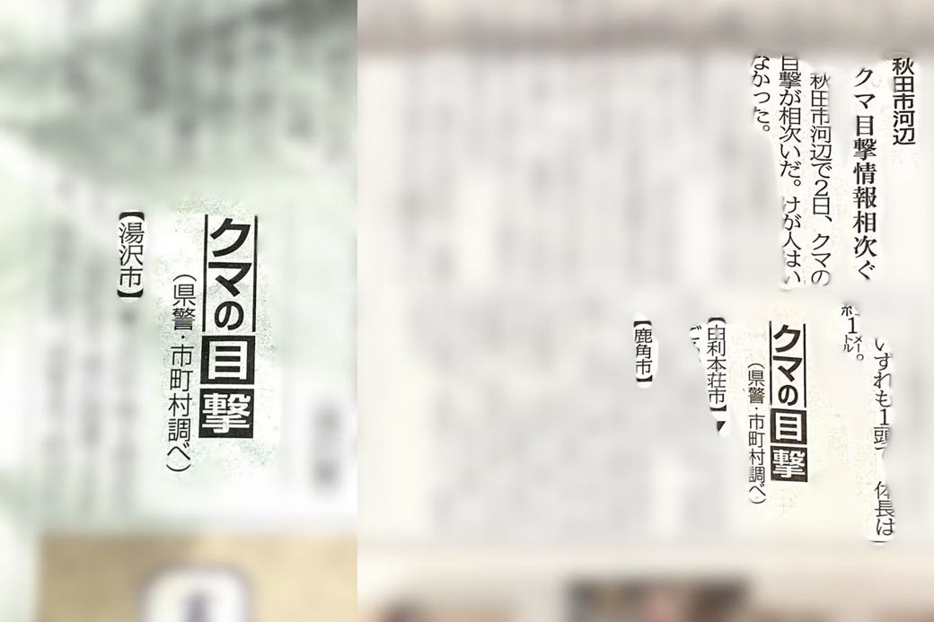 弁護士ドットコム 秋田魁新報