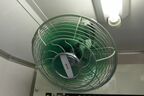 デト15天井の扇風機