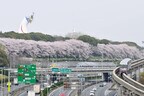 桜が満開の万博記念公園を横目に走る。線路は府道2号線や