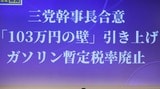 昨秋の参議院選挙以降、数々の手取りを増やす政策が各党から打ち出されたが、的外れなものが多い（写真：時事通信）