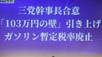 ＜若者よ目を覚ませ！＞各党の手取り増加策は的外れ。若年低所得者の手取りは「社会保険料の税方式化」と「所得補給制度」でこそ本当に増える