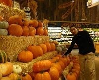 《若手記者･スタンフォード留学記 10》快楽のないアメリカ文化、成熟国家の若者には物足りない？