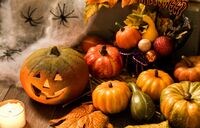 今が旬！日本人にこそカボチャが必要な理由