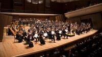 ｢日本のオーケストラ｣収入ゼロの辛すぎる窮状