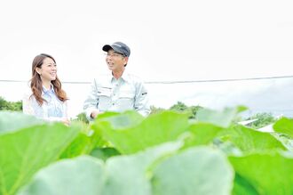 江戸崎かぼちゃの熱意に迫る