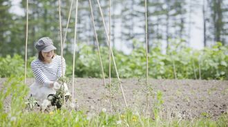 俳句の達人は｢最高のネタ｣をこうやって見つける