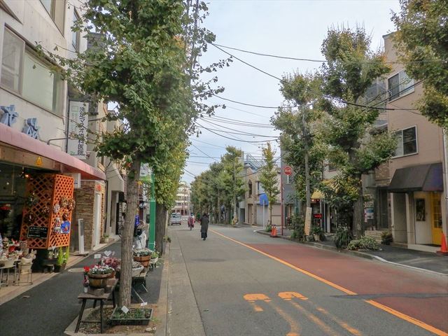 東急 田園都市線 と 田園調布 の関係は 駅 再開発 東洋経済オンライン 経済ニュースの新基準