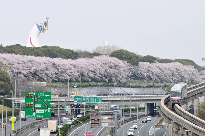 桜が満開の万博記念公園を横目に走る。線路は府道2号線や